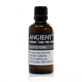 Tall Sylvestris (Scots Pine) Eterisk Olja 50ml