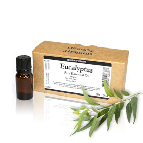 10x 10ml Eukalyptus Eterisk Olja  Utan Etikett