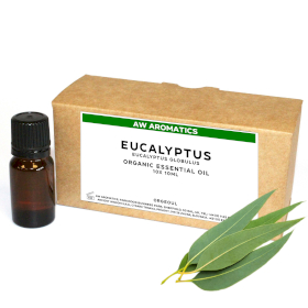 10x Eukalyptus Ekologisk Eterisk Olja 10ml - Utan Etikett