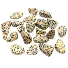 24x Stora Tumlade Stenar - Dalmatisk Jaspis